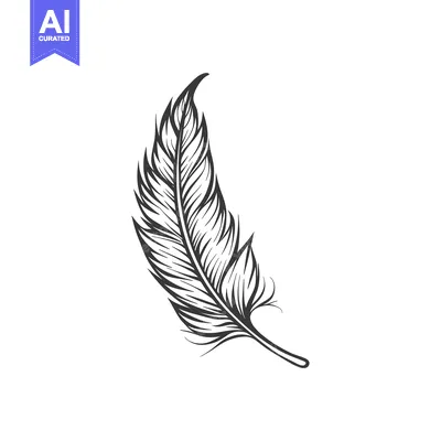 Premium design asset: A Hand-Drawn Outline of a Single Feather