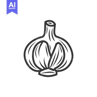 Aset desain premium: A Hand-Drawn Sketch of a Single Garlic Bulb