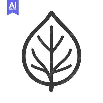 Aset premium populer: Simple stylized illustration of a single leaf with central veins