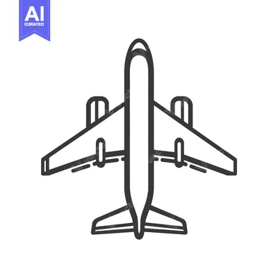 Premium design asset: A simple black and white depiction of an airplane from above