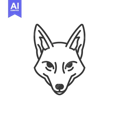 Popular premium asset: A line art illustration of a fox's head facing forward.