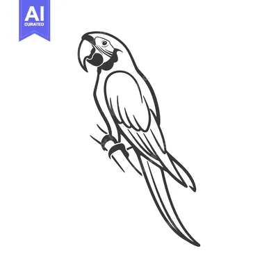 Popular premium asset: A Line Art Illustration of a Parrot Perched on a Branch