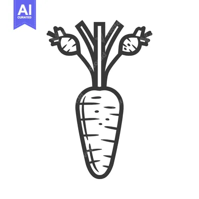Premium design asset: A Line Drawing Illustration of a Single Carrot with Green Tops