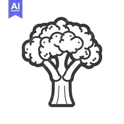 Aset premium populer: A Line Drawing Illustration of a Single Head of Broccoli