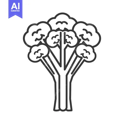Aset desain premium: A line drawing of a broccoli floret with a stem