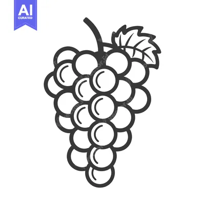Premium design asset: A Line Drawing of a Bunch of Grapes with a Leaf