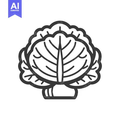 Aset premium populer: A Line Drawing of a Cabbage with Rounded Leaves