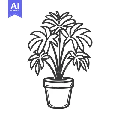 Premium design asset: A Line Drawing of a Houseplant in a Pot