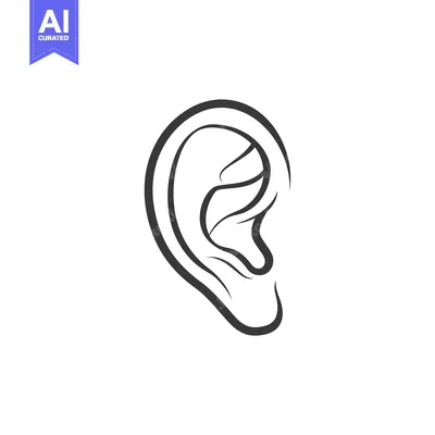 Aset premium populer: A Line Drawing of a Human Ear in Profile