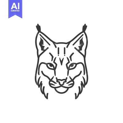Download A Line Drawing of a Lynx's Face Vector Graphic