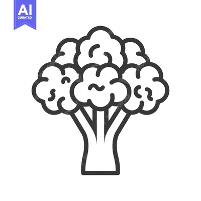 Popular premium asset: A Line Drawing of a Single Broccoli Floret