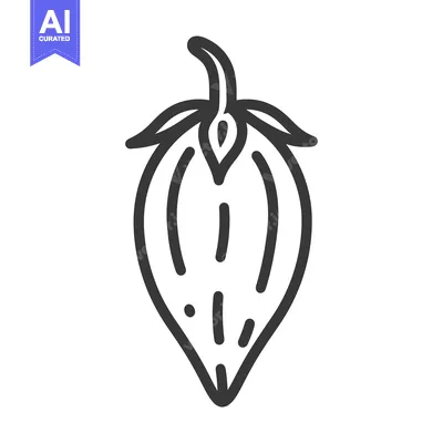 Popular premium asset: A Line Drawing of a Single Tomatillo