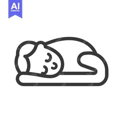 Popular premium asset: A line drawing of a sleeping cat curled up