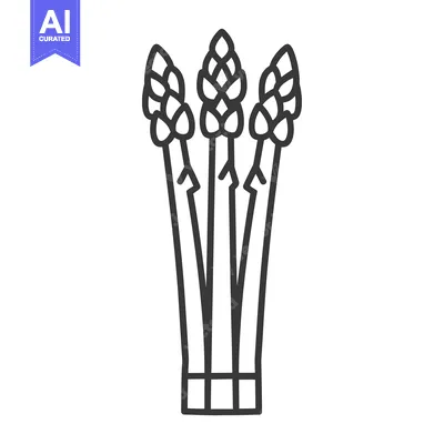 Premium design asset: A Line Drawing of Three Asparagus Spears