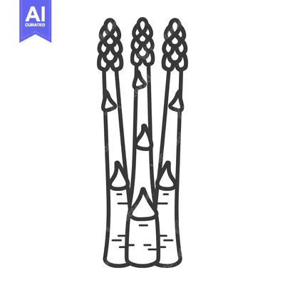 Aset premium populer: A Line Drawing of Three Asparagus Spears