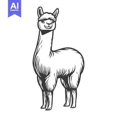 Aset desain premium: A standing llama illustration in a simple black and white style
