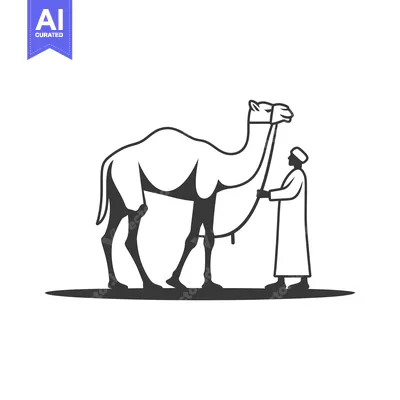 Aset desain premium: A Man Leading a Camel With a Rope