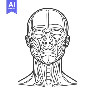Aset premium populer: Detailed anatomical depiction of human head and neck muscles
