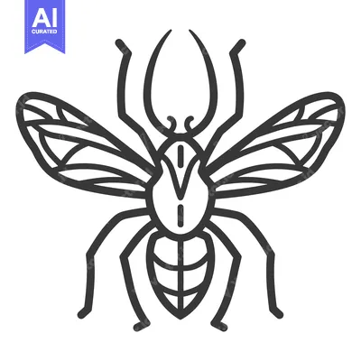 Premium design asset: A symmetrical detailed black line drawing depicting an insect