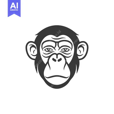 Aset premium populer: The detailed black and white illustration depicting an ape face