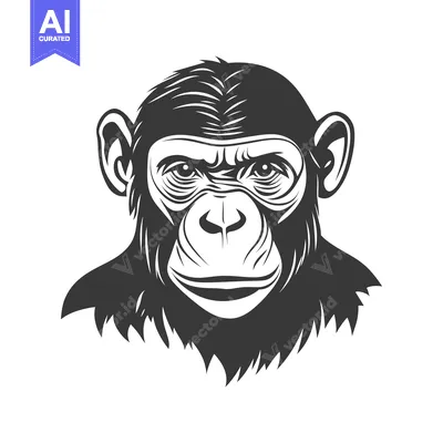 Aset premium populer: A Monochrome Portrait Depicting The Head Of A Primate