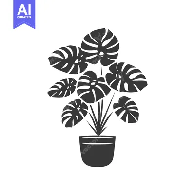 Aset premium populer: A potted monstera plant with large, split leaves