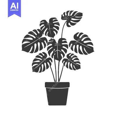 Aset premium populer: A potted Monstera plant with multiple leaves in a simple black silhoue