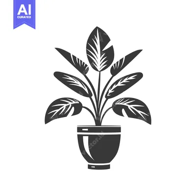 Premium design asset: A potted plant with multiple large, spiky leaves