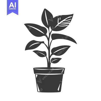 Premium design asset: A potted plant with multiple leaves and a thick stem