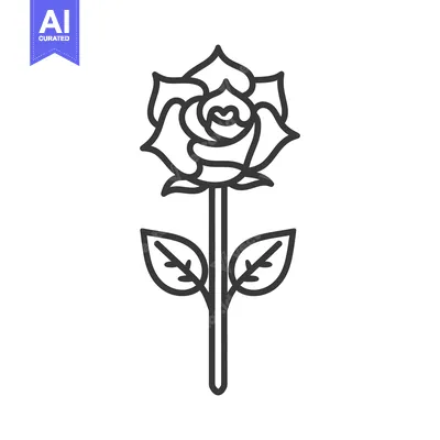 Popular premium asset: A simple linear illustration of a single beautiful rose blossom