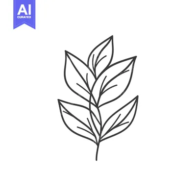 Popular premium asset: Simple black line illustration shows a sprig of fresh leaves