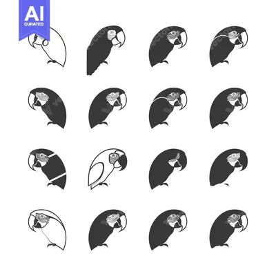 A Set of 16 Macaw Parrot Icons in Black and White