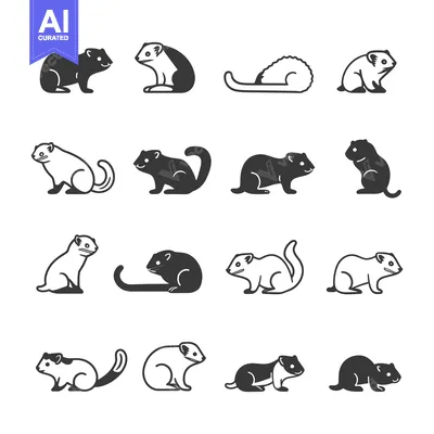 Aset premium populer: A Set of Black and White Silhouette Illustrations of Ferrets in Variou