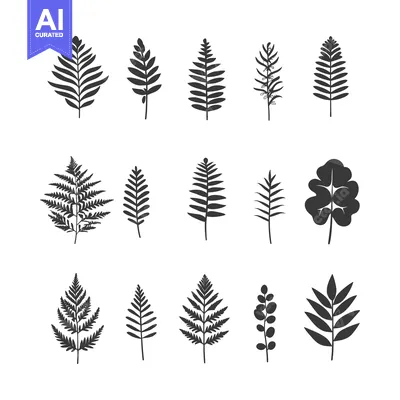 Aset desain premium: A Set of Black and White Silhouettes of Various Leaves