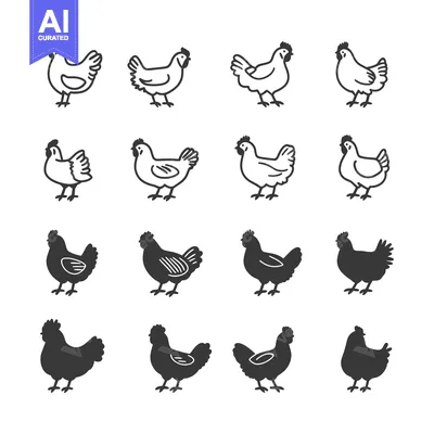 Aset premium populer: A Set of Chicken Illustrations, Including Line Art and Silhouettes