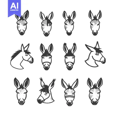 Premium design asset: A Set of Detailed Donkey Head Illustrations with Varying Expressions