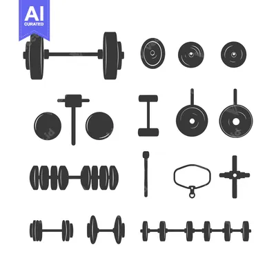 Aset desain premium: A Set of Dumbbells and Barbells for Weightlifting