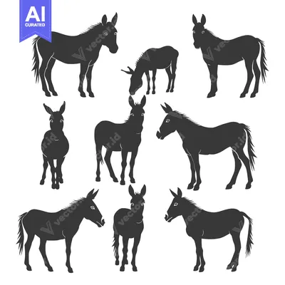 Aset desain premium: A Set of Eight Donkey Silhouettes in Various Poses