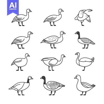 Aset premium populer: A Set of Line Drawings Depicting Various Goose Species
