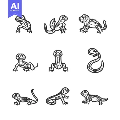 Aset premium populer: A Set of Nine Black and White Hand-Drawn Lizard Illustrations