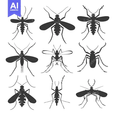 Premium design asset: A Set of Nine Black Silhouette Mosquito Illustrations
