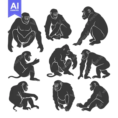 Aset premium populer: A Set of Nine Black Silhouettes of Chimpanzees in Various Poses