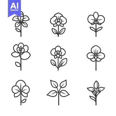 Aset premium populer: A Set of Nine Line Drawings of Orchids and Flower Buds