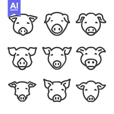 Premium design asset: A Set of Nine Line Drawings of Pig Faces