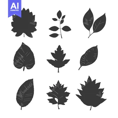 Premium design asset: A Set of Nine Silhouette Leaf Designs
