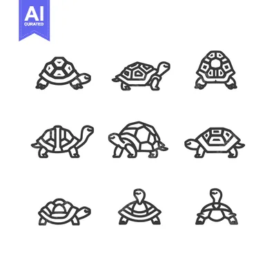 Aset premium populer: A Set of Nine Simple Line Drawings Depicting Turtles in Various Poses
