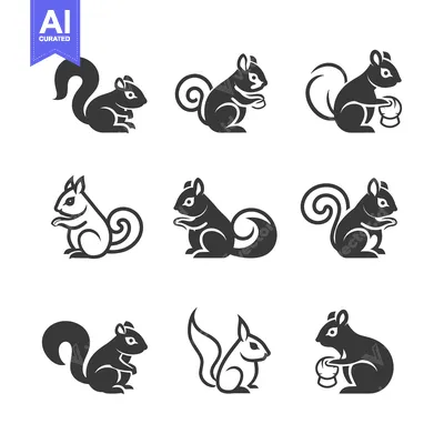 A Set of Nine Stylized Squirrel Icons in Black and White