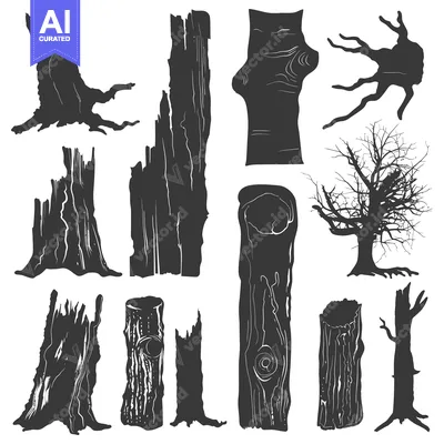 Aset premium populer: A Set of Silhouettes of Different Tree Trunks and Branches