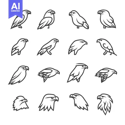 Aset premium populer: A Set of Sixteen Black and White Eagle Line Art Illustrations
