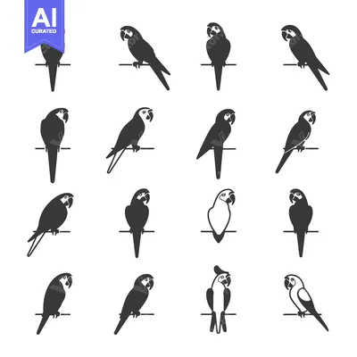Aset premium populer: A Set of Sixteen Black and White Parrot Silhouettes
